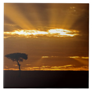Een mond openende zonsopgang in de Maasai Mara Tegeltje