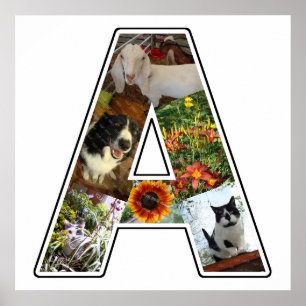 Een monogram Creëer Uw Eigen 6 Aangepaste Foto Col Poster