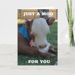 EEN MOO EN EEN WENS VOOR "UW GROTE DAG" KAART