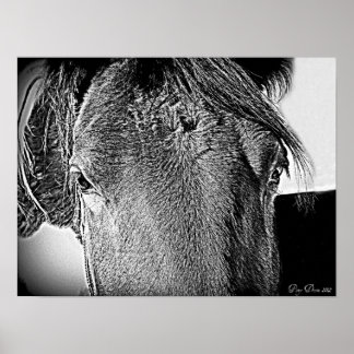 Een mooi zicht poster