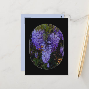 een mooie aanraking van de natuur briefkaart