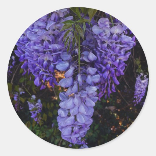 een mooie aanraking van de natuur ronde sticker (Voorkant)