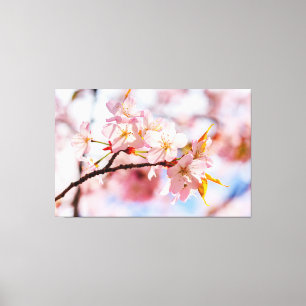 Een Mooie Bos Sakura Bloemen Tegen Roze Achtergron Canvas Afdruk