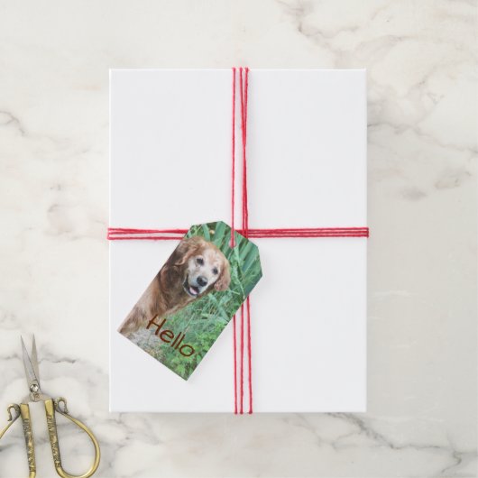 Een mooie dag. cadeaulabel (Met Touw)