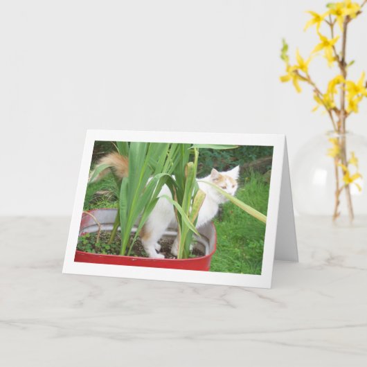 EEN MOOIE DAG, WANT HET IS "JE VERJAARDAG" KAART (Gele Bloem)