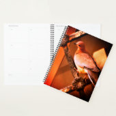 Een mooie duif planner (Display)