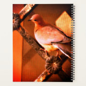 Een mooie duif planner (Achterkant)