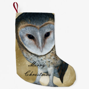 Een mooie kleine Barn Owl fantasie Kerstsok