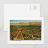 Een mooie Oranje GroveState Briefkaart (Voorkant / Achterkant)