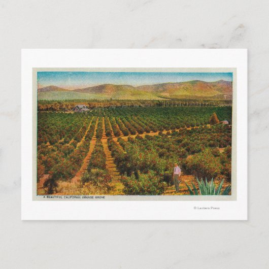 Een mooie Oranje GroveState Briefkaart (Voorkant)