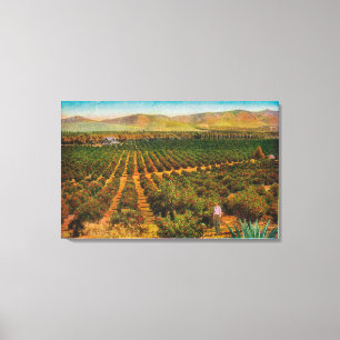 Een mooie Oranje GroveState Canvas Afdruk