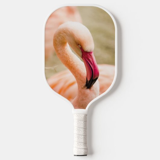 Een mooie roze flamingo pickleball paddle (Voorkant)