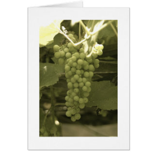 Een mooie stelletje druiven