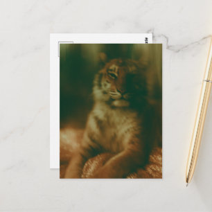 Een mooie tijger in een jurk  briefkaart