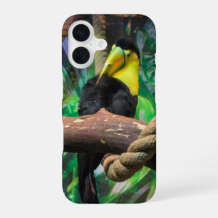 een mooie zwarte en gele Toekan iPhone 16 Hoesje