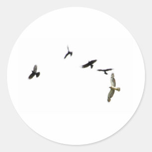 Een moord op koeien ronde sticker