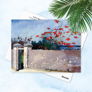 Een muur Nassau Winslow Homer Briefkaart