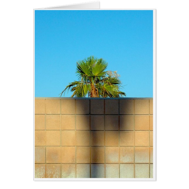 Een muur van Wyman (Voorkant)