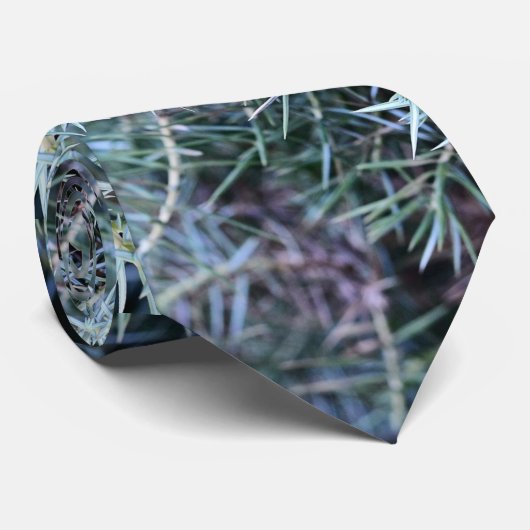 Een naaste schets van jeneverbes stropdas (Opgerold)