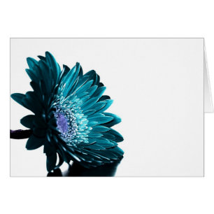 Een nachtnacht in een motorrijder