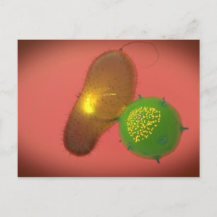 Een natuurlijke Killer Cell injecteert toxine Briefkaart