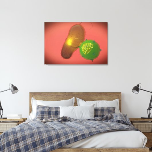 Een natuurlijke Killer Cell injecteert toxine Canvas Afdruk (Insitu (Slaapkamer))