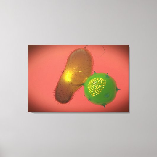 Een natuurlijke Killer Cell injecteert toxine Canvas Afdruk (Voorkant)