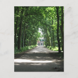 Een Nederlandse Lane in Forrest in Holland Foto Br Briefkaart