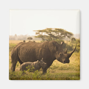 Een neushoorn met haar baby magneet