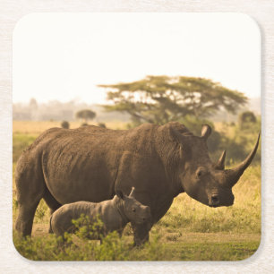 Een neushoorn met haar baby vierkante kartonnen onderzetter