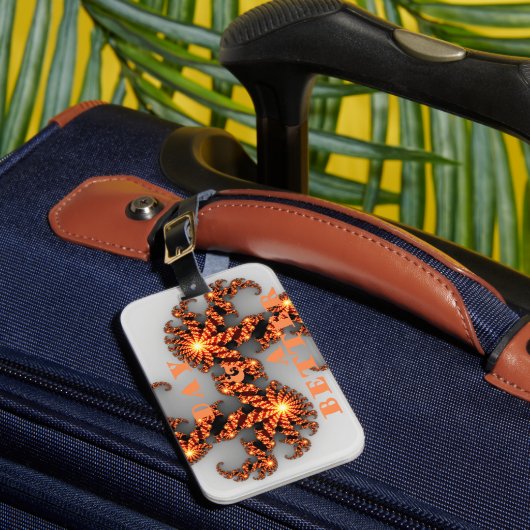 Een Nicer Day en een betere nacht Bagagelabel (Voorkant Insitu 1)