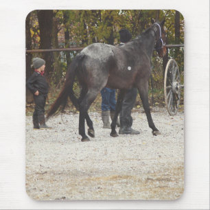Een nieuw paard muismat