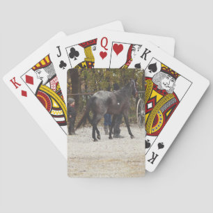 Een nieuw paard pokerkaarten