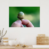 Een nieuw Poster van de Begin Acorn (Keuken)