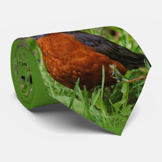 Een nieuwsgierige Amerikaanse Robin Stropdas (Opgerold)