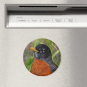 Een nieuwsgierige en hoopvolle Amerikaanse Robin Magneet (Insitu (Vaatwasser))