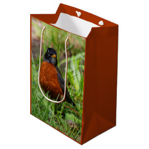 Een nieuwsgierige en hoopvolle Amerikaanse Robin Medium Cadeauzakje