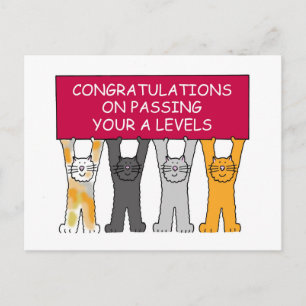 Een niveau doorgeven Gefeliciteerd Briefkaart