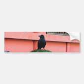 Een Oerwoud met grote vulling bedekt een baars op Bumpersticker (Voorkant)