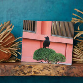 Een Oerwoud met grote vulling bedekt een baars op Fotoplaat (Zijkant)