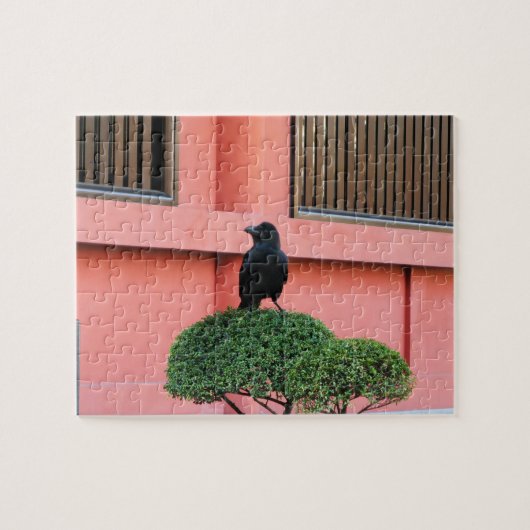 Een Oerwoud met grote vulling bedekt een baars op  Legpuzzel (Horizontaal)