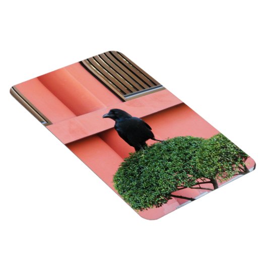 Een Oerwoud met grote vulling bedekt een baars op  Magneet (Rechterzijde)