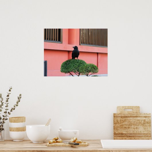 Een Oerwoud met grote vulling bedekt een baars op  Poster (Keuken)