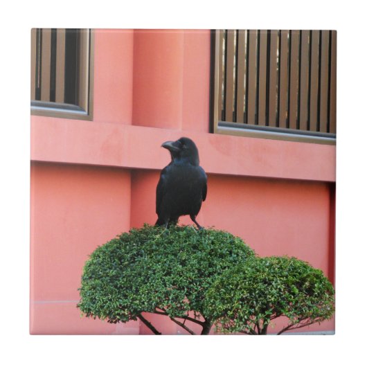 Een Oerwoud met grote vulling bedekt een baars op  Tegeltje (Voorkant)