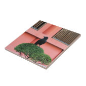 Een Oerwoud met grote vulling bedekt een baars op  Tegeltje (Zijkant)