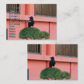 Een Oerwoud met grote vulling bedekt een baars op Visitekaartje (Voorkant / Achterkant)