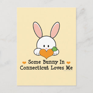 Een of andere bundel in Connecticut verliest me Br Briefkaart
