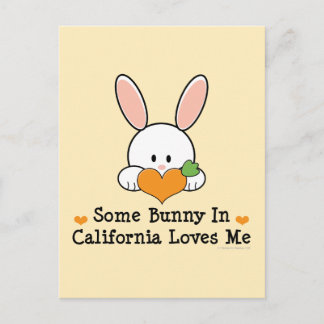 Een of andere Bunny in Californië houdt van me Bri Briefkaart