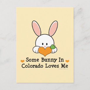 Een of andere Bunny in Colorado houdt van mij Brie Briefkaart