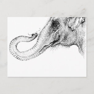 Een olifant is trouw 100% briefkaart